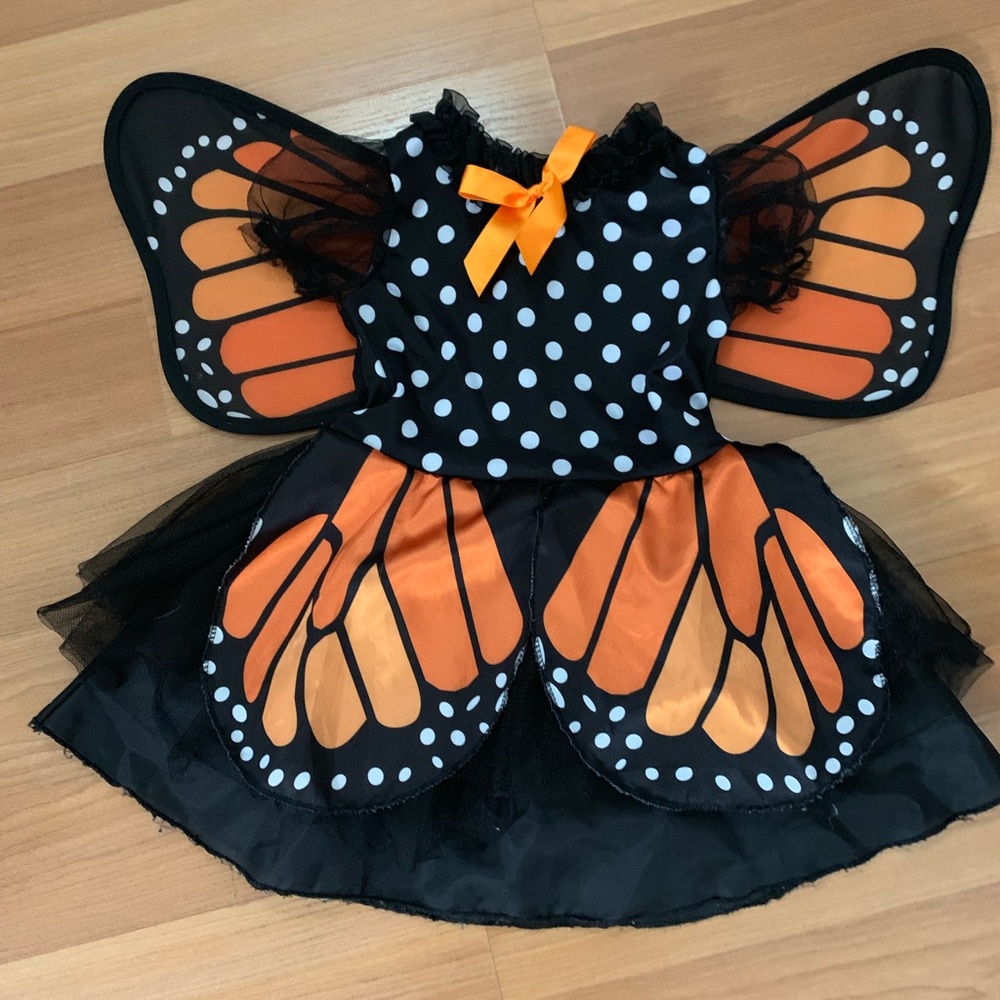 2T Butterfly costume
